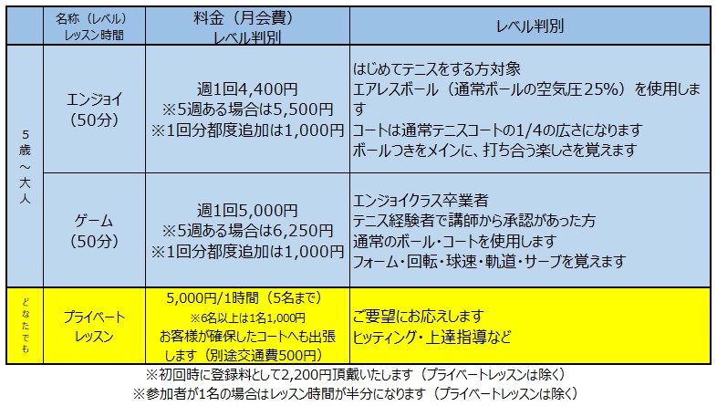 料金表・レベル判別表