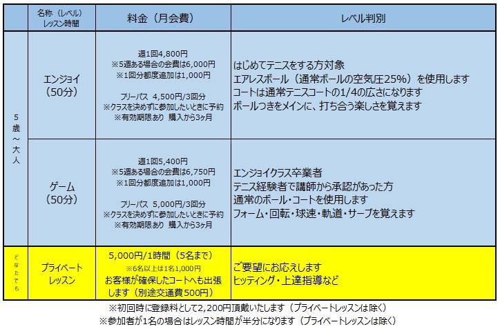 料金表・レベル判別表